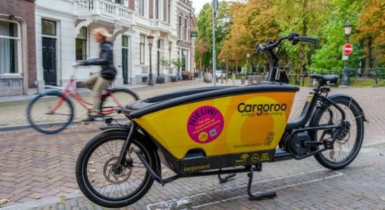 Bicycle sharing should become easier and cheaper in Utrecht Provides