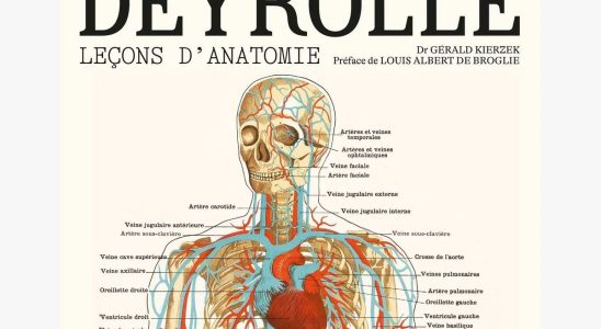 Competition win a signed copy of Anatomy Lessons the latest