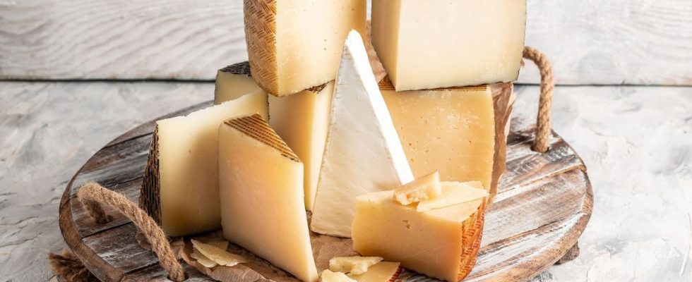 Do not consume these cheeses contaminated with Escherichia Coli bacteria