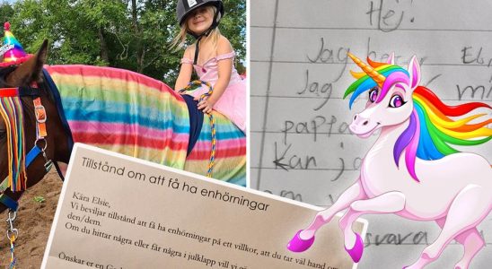 Elsie 8 was given permission to have a unicorn by
