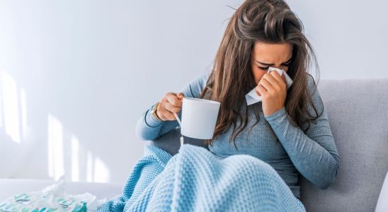 Flu where is the epidemic and what barrier gestures should