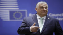 Guardian Hungarian PMs allies lobby US Republicans to end aid