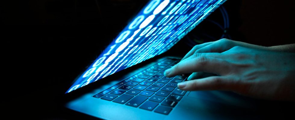 Hackers make demands on Harjedalen municipality