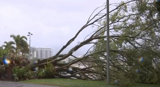 Heavy damage after Cyclone Jasper