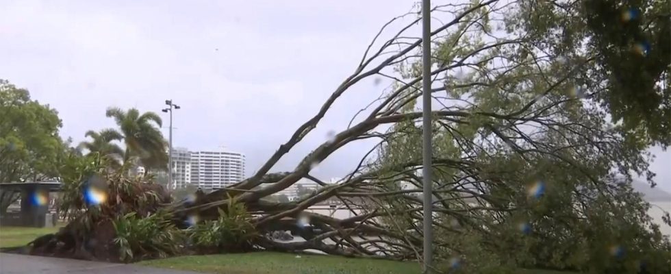 Heavy damage after Cyclone Jasper