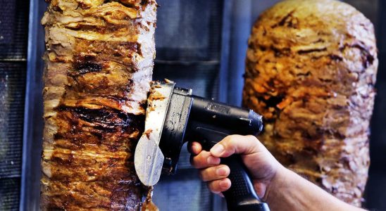 Kebab meat seized contained 30 percent horse meat
