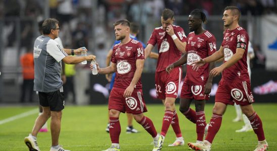 Ligue 1 Stade Brestois a spoilsport that can target Europe