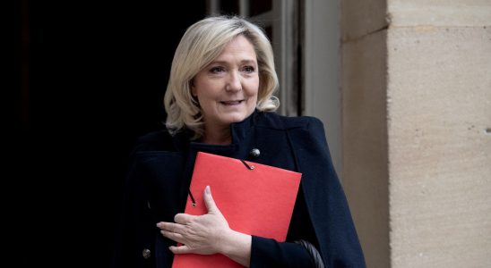 Macronie Proglio and even Amanda Lear… Marine Le Pen her