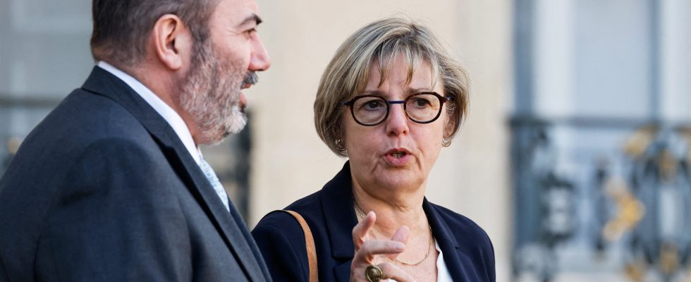 Minister Sylvie Retailleau presented her resignation which was refused –