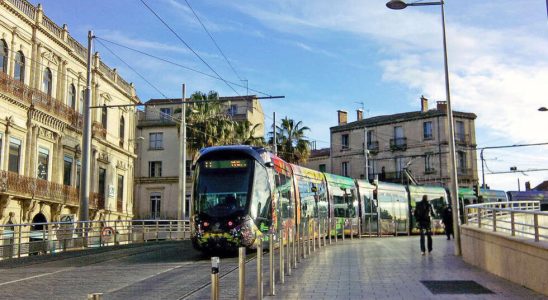 Montpellier switches to free transport This is not the answer