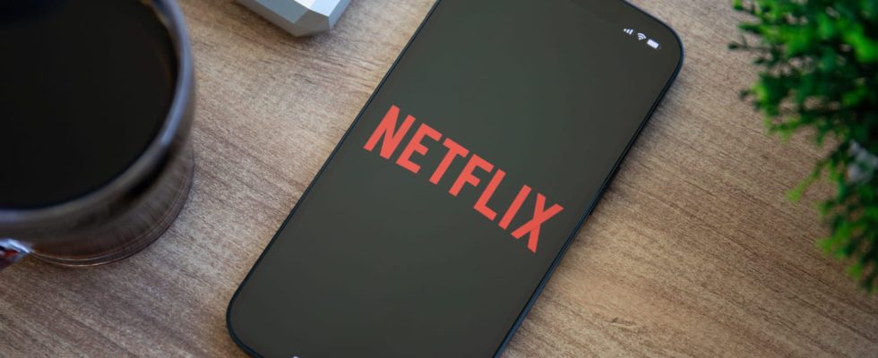 Netflix subscription includes hidden services much better than movies