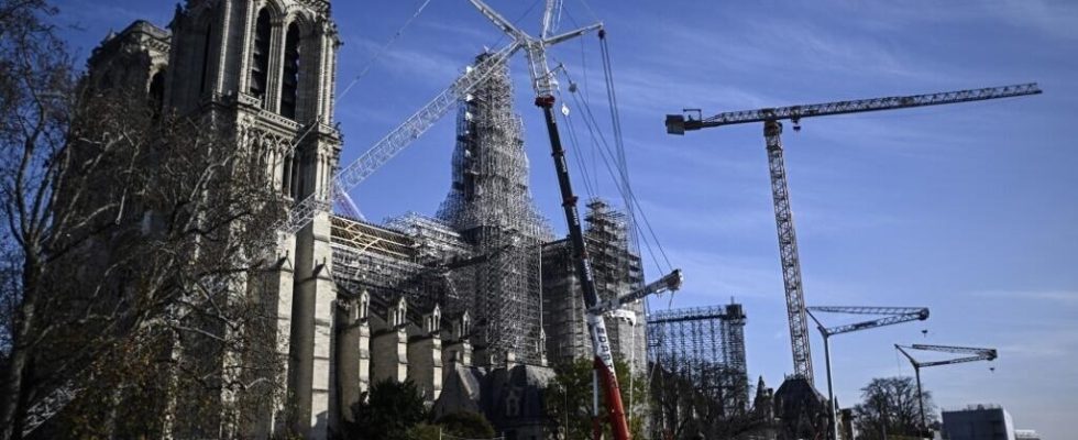 One year before the reopening of Notre Dame de Paris the