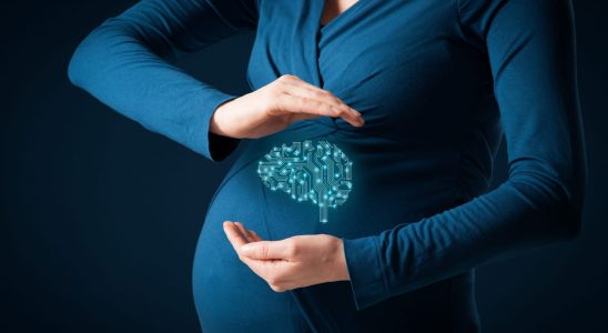 Pregnant womens brains are shrinking but thats not such