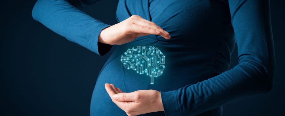 Pregnant womens brains are shrinking but thats not such