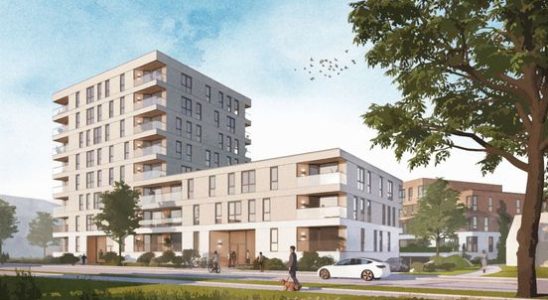Soest finds space for 142 affordable homes and is going