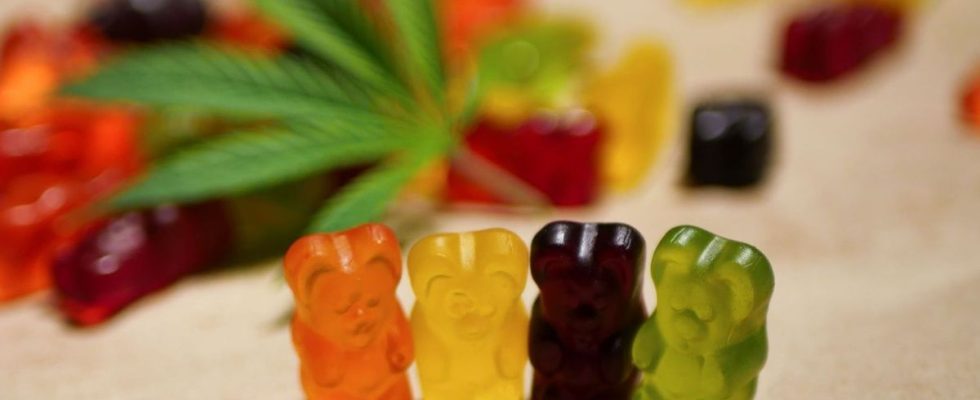 THC and H4CBD candies gummies far from harmless