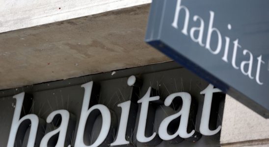 The Habitat brand placed in compulsory liquidation – LExpress