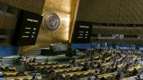 The UN General Assembly set out to demand a cease fire