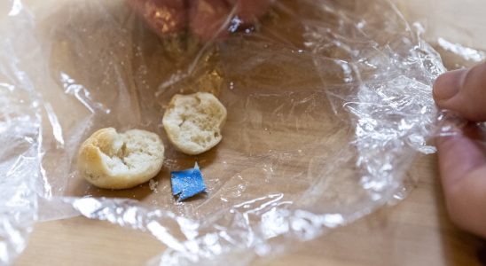 The dog torturer in Malmo arrested had buns with