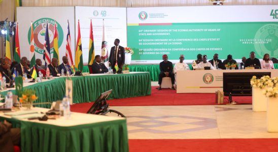 The low profile of ECOWAS on Mali analysis and political