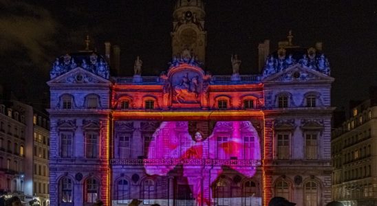 The most beautiful images of the Lyon Festival of Lights