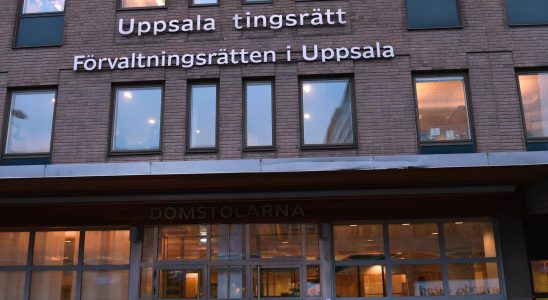 The siblings defrauded the Swedish Social Insurance Agency of ten