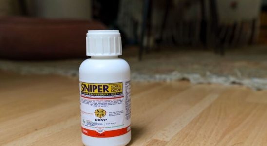 Used against bedbugs this insecticide is responsible for 206 poisonings