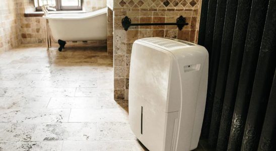 Using the dehumidifier mistakes to avoid