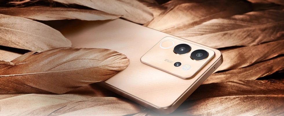 Vivo V30 Lite Introduced with Its Powerful Performance