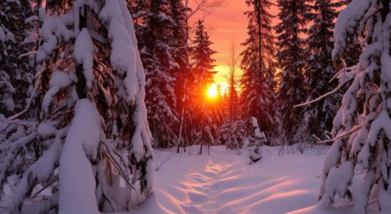 What does the winter solstice mean this December 22 at