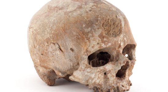 a law on the restitution of human remains soon to
