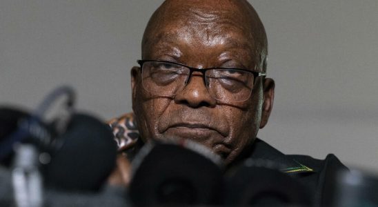 former president Jacob Zuma calls for voting against his own