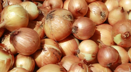 the price of onions on the rise since the border
