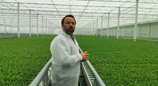 vertical farms the latest fad in the Emirates – LExpress