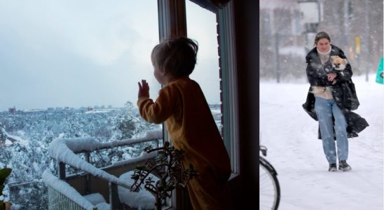 14 things you must have at home when the cold