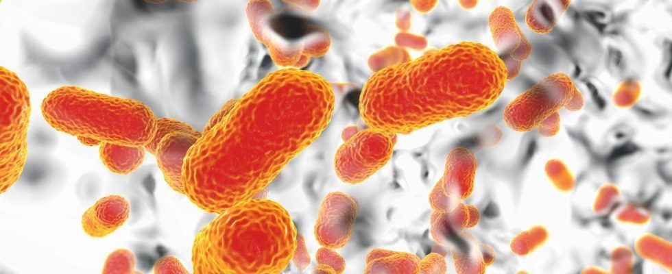 A new antibiotic overcomes a super resistant bacteria thanks to a