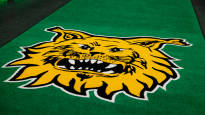 AL The Ilves player who received a death threat became