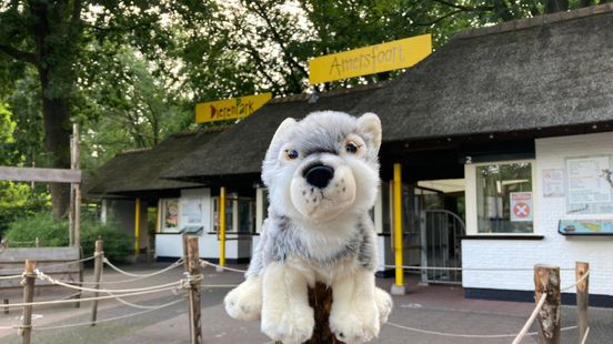 Amersfoort Zoo has the Efteling in its sights as the