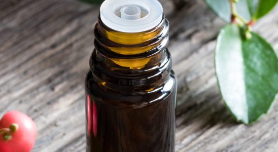 Anti inflammatory this essential oil is best against osteoarthritis