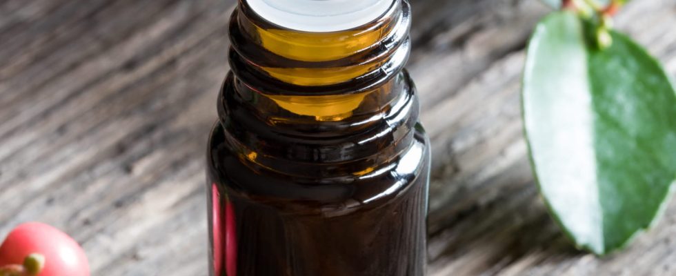 Anti inflammatory this essential oil is best against osteoarthritis