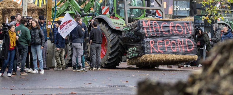 Are farmers scaring the government Indulgence in the face of