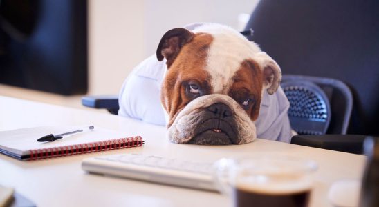 Avoid these behaviors in the office if you dont want