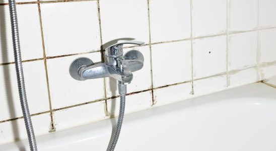 Clean Shower Mold in Just 10 Minutes Without Bleach