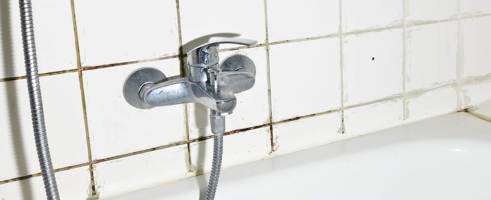 Clean Shower Mold in Just 10 Minutes Without Bleach