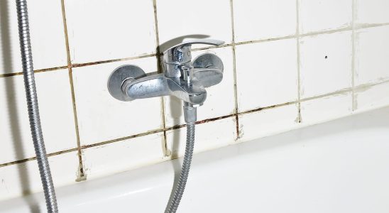 Clean Shower Mold in Just 10 Minutes and Without Bleach