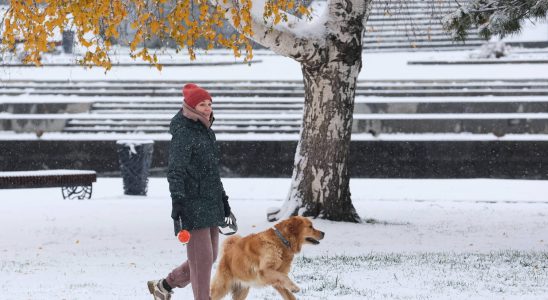Cold and snow in France detailed weather forecasts