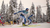 Comment The Finnish ski service has received an absurd amount