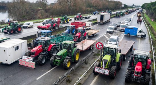 Do the French support the farmers protest