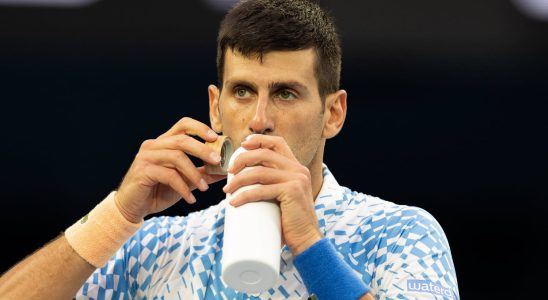 Doping Vitamin Novak Djokovics magic drink contains ingredient that makes