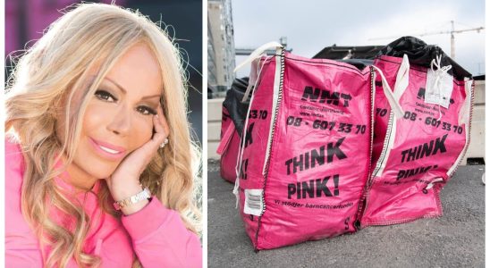 Everything about Bella Nilsson accused in the Think Pink